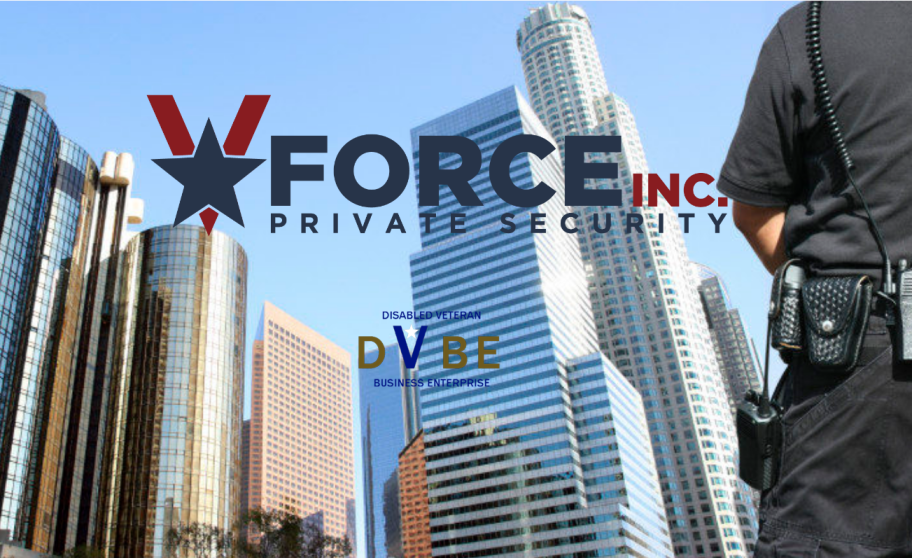 VForce Security